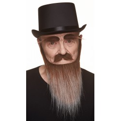 Mustache, beard and eyebrows, brown and gray