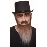 Mustache, beard and eyebrows, brown and gray