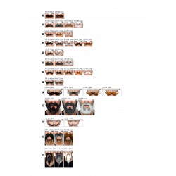 Planogram 4x6, mustaches, beards, eyebrows, sideburns