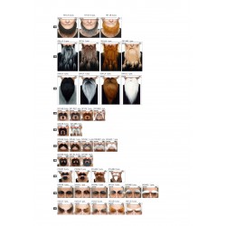 Planogram 4x6, mustaches, beards, eyebrows, sideburns