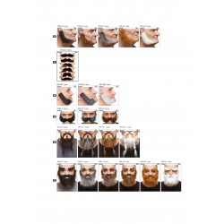 Planogram 4x6, mustaches, beards, eyebrows, sideburns