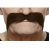 Mustache, chestnut
