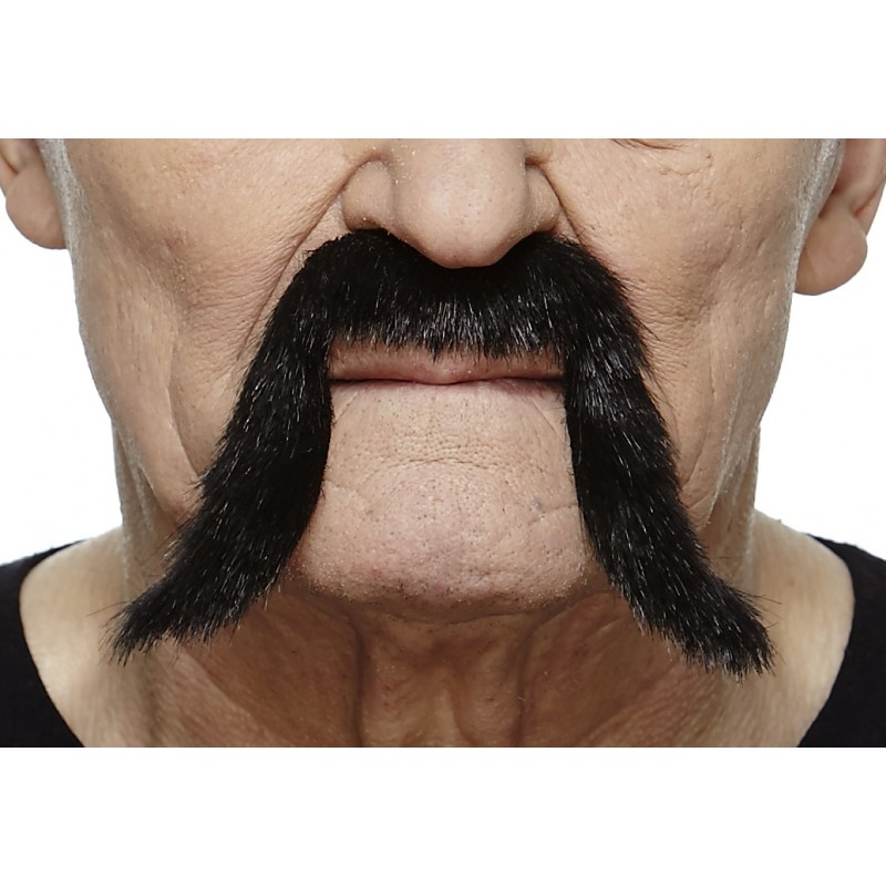 Mustache, black lustrous