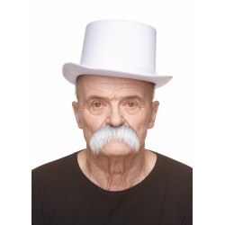 Mustache, gray and white