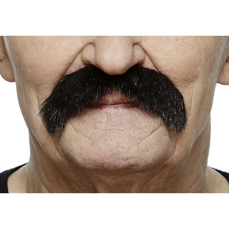 Mustache, black lustrous