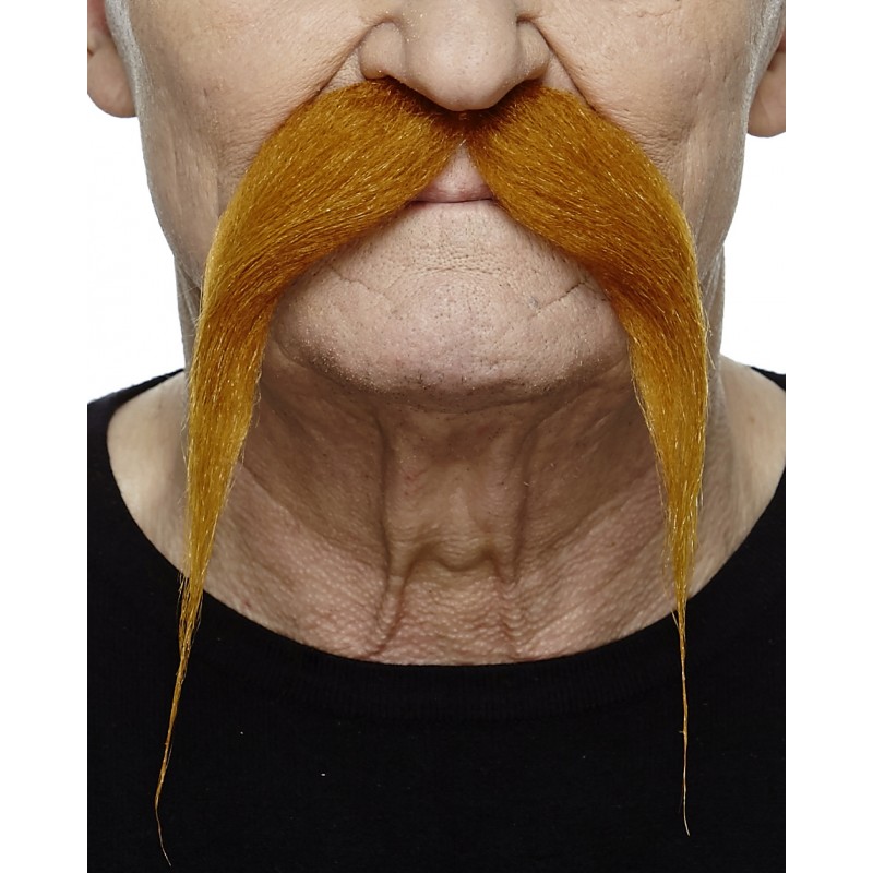 Mustache, ginger