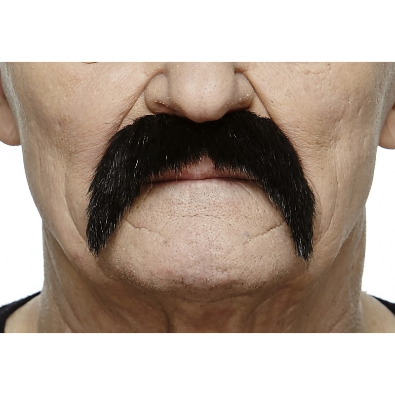 Mustache, black lustrous