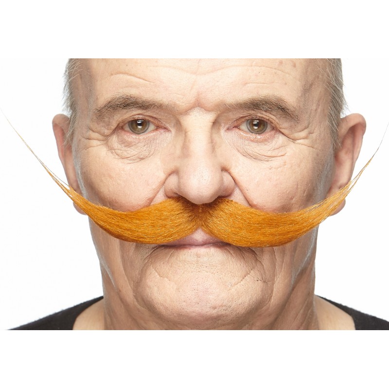 Mustache, ginger