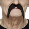 Mustache, black