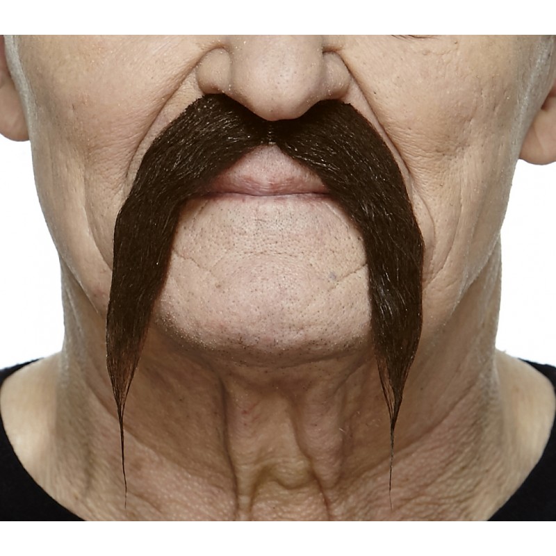 Mustache, chestnut