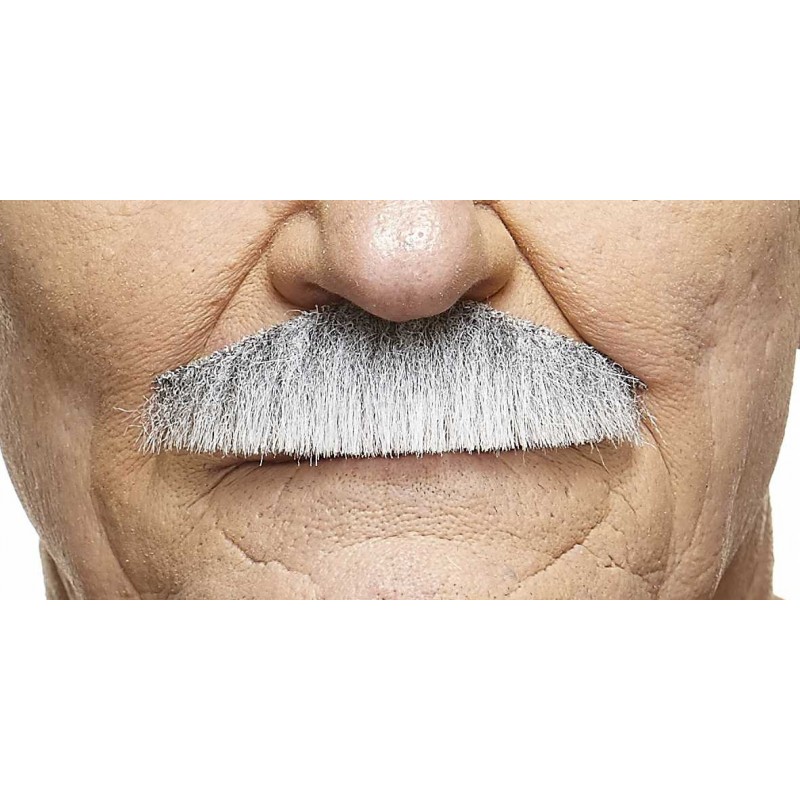 Mustache, gray and white