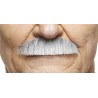 Mustache, gray and white