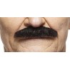 Mustache, black lustrous