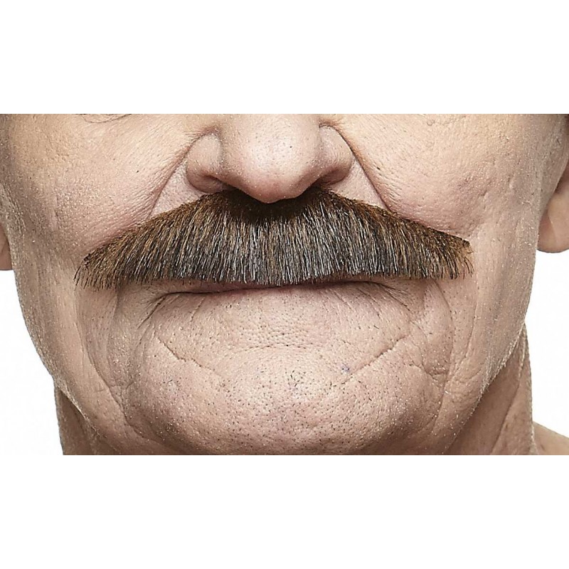 Mustache,  brown with gray