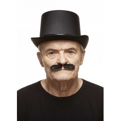 Mustache, black lustrous