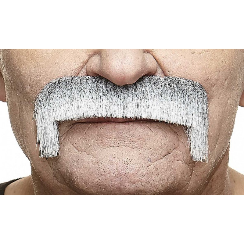 Wide Latin mustache, gray and white