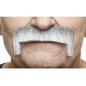 Wide Latin mustache, gray and white