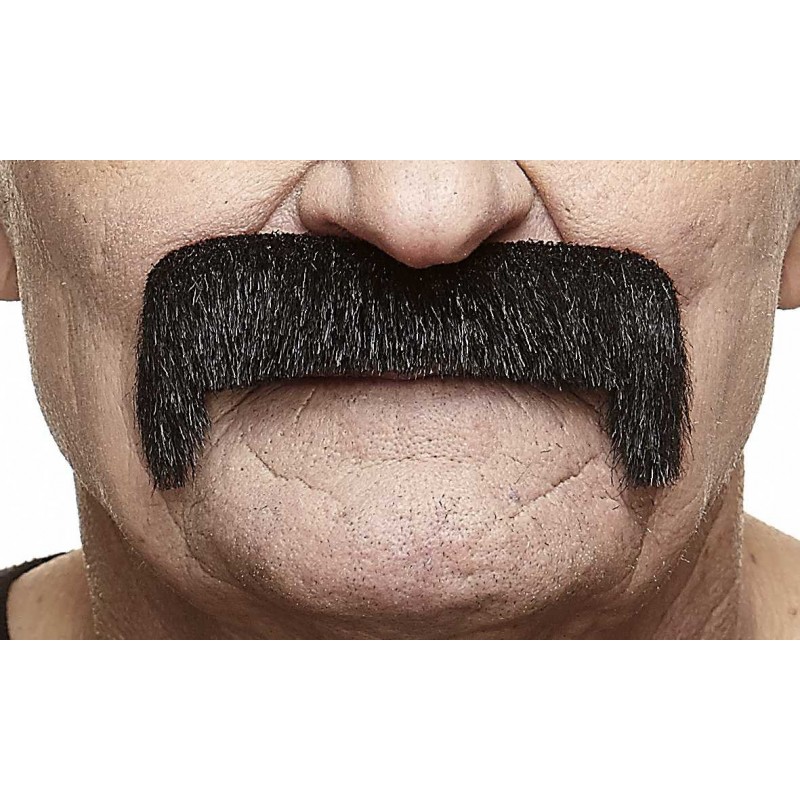 Wide Latin mustache, black lustrous