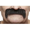 Wide Latin mustache, black lustrous