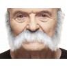 Mustache, gray and white