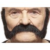 Mustache, black lustrous