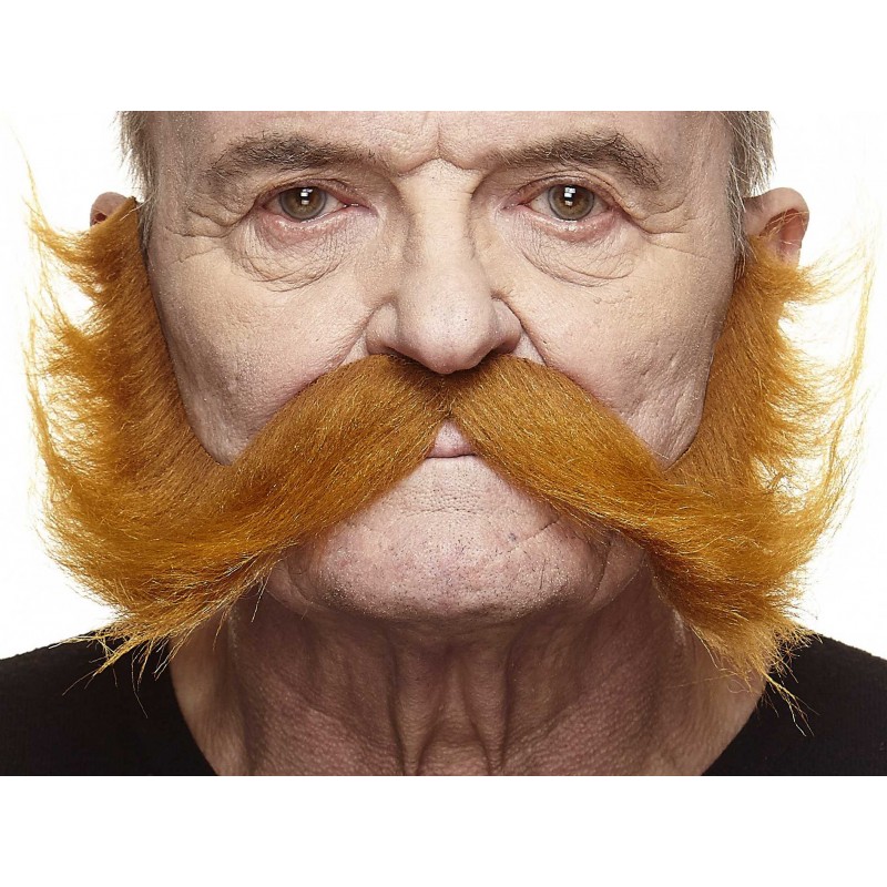 Mustache, ginger