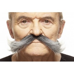 Mustache style