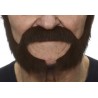 Mustache and beard, brown