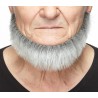 Morman beard, gray with white