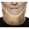 Beard, blond
