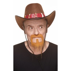 Mustache and beard, ginger