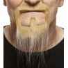 Mustache and beard, blond