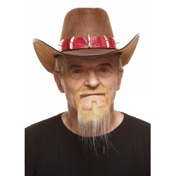 Mustache and beard, blond