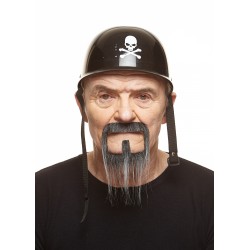 Long Van Dyke mustache and beard, salt and pepper