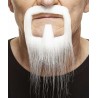 Mustache and beard, white