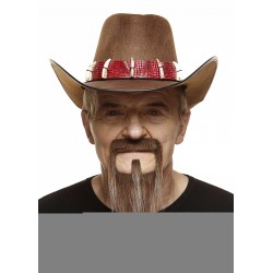 Mustache and beard, brown and gray