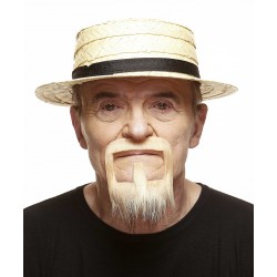 Mustache and beard, blond