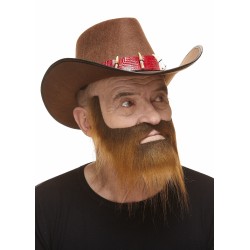 Mustache and beard, brown