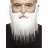 Mustache and beard, white