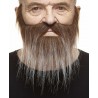 Mustache and beard, brown and gray