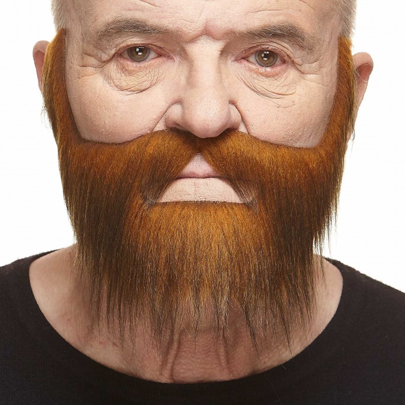 Mustache and beard, ginger