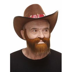 Mustache and beard, ginger