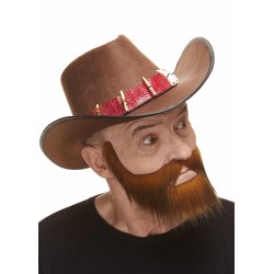 Mustache and beard, ginger