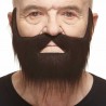 Mustache and beard, chestnut