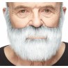 Nobleman mustache and beard, gray and white