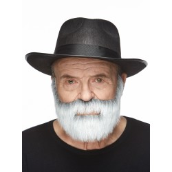 Nobleman mustache and beard, gray and white