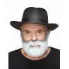 Nobleman mustache and beard, gray and white
