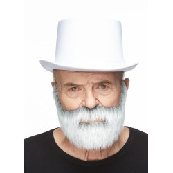 Nobleman mustache and beard, gray and white