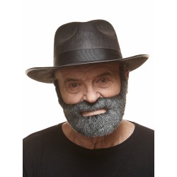 Mustache and beard, sald and pepper