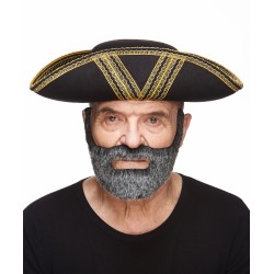 Mustache and beard, sald and pepper